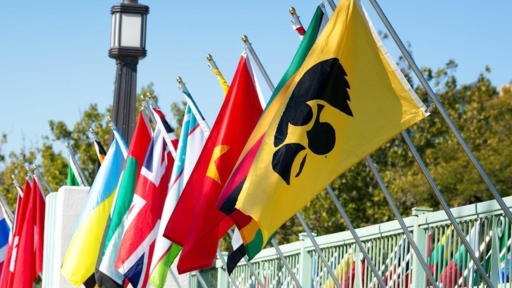 Flags on the bridge by the IMU